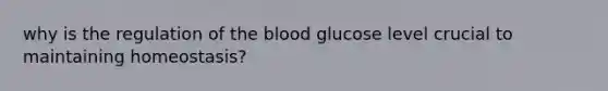 why is the regulation of the blood glucose level crucial to maintaining homeostasis?