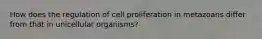 How does the regulation of cell proliferation in metazoans differ from that in unicellular organisms?