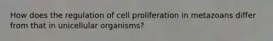 How does the regulation of cell proliferation in metazoans differ from that in unicellular organisms?