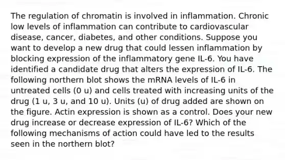 The regulation of chromatin is involved in inflammation. Chronic low levels of inflammation can contribute to cardiovascular disease, cancer, diabetes, and other conditions. Suppose you want to develop a new drug that could lessen inflammation by blocking expression of the inflammatory gene IL-6. You have identified a candidate drug that alters the expression of IL-6. The following northern blot shows the mRNA levels of IL-6 in untreated cells (0 u) and cells treated with increasing units of the drug (1 u, 3 u, and 10 u). Units (u) of drug added are shown on the figure. Actin expression is shown as a control. Does your new drug increase or decrease expression of IL-6? Which of the following mechanisms of action could have led to the results seen in the northern blot?