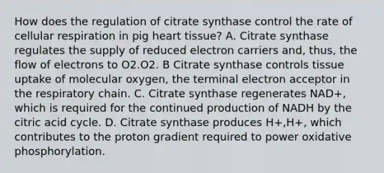 How does the regulation of citrate synthase control the rate of cellular respiration in pig heart tissue? A. Citrate synthase regulates the supply of reduced electron carriers and, thus, the flow of electrons to O2.O2. B Citrate synthase controls tissue uptake of molecular oxygen, the terminal electron acceptor in the respiratory chain. C. Citrate synthase regenerates NAD+, which is required for the continued production of NADH by the citric acid cycle. D. Citrate synthase produces H+,H+, which contributes to the proton gradient required to power oxidative phosphorylation.