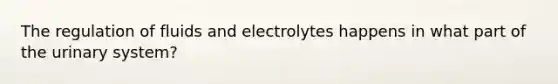 The regulation of fluids and electrolytes happens in what part of the urinary system?