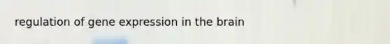 regulation of gene expression in the brain