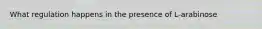 What regulation happens in the presence of L-arabinose