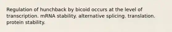 Regulation of hunchback by bicoid occurs at the level of transcription. mRNA stability. alternative splicing. translation. protein stability.