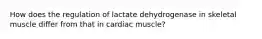 How does the regulation of lactate dehydrogenase in skeletal muscle differ from that in cardiac muscle?