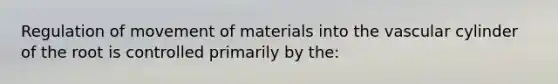 Regulation of movement of materials into the vascular cylinder of the root is controlled primarily by the: