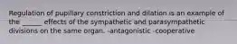 Regulation of pupillary constriction and dilation is an example of the ______ effects of the sympathetic and parasympathetic divisions on the same organ. -antagonistic -cooperative