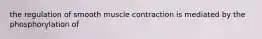 the regulation of smooth muscle contraction is mediated by the phosphorylation of