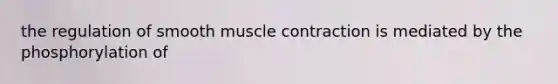 the regulation of smooth muscle contraction is mediated by the phosphorylation of