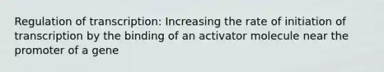 Regulation of transcription: Increasing the rate of initiation of transcription by the binding of an activator molecule near the promoter of a gene