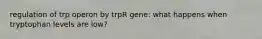 regulation of trp operon by trpR gene: what happens when tryptophan levels are low?