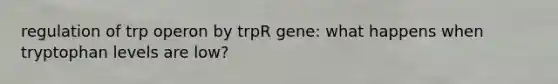 regulation of trp operon by trpR gene: what happens when tryptophan levels are low?