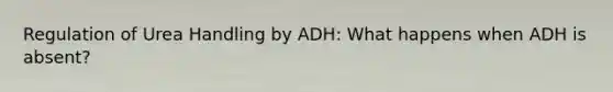 Regulation of Urea Handling by ADH: What happens when ADH is absent?