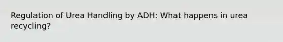 Regulation of Urea Handling by ADH: What happens in urea recycling?