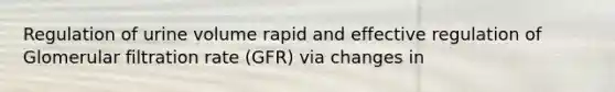 Regulation of urine volume rapid and effective regulation of Glomerular filtration rate (GFR) via changes in