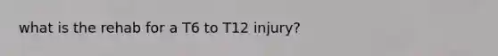 what is the rehab for a T6 to T12 injury?