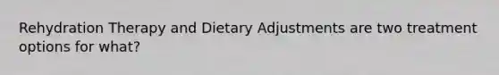 Rehydration Therapy and Dietary Adjustments are two treatment options for what?