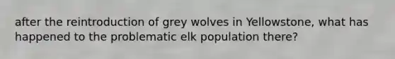 after the reintroduction of grey wolves in Yellowstone, what has happened to the problematic elk population there?