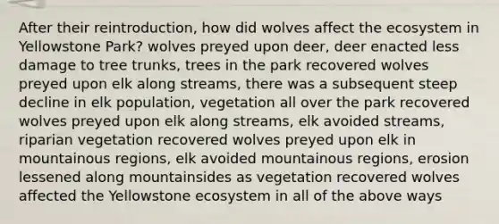 After their reintroduction, how did wolves affect the ecosystem in Yellowstone Park? wolves preyed upon deer, deer enacted less damage to tree trunks, trees in the park recovered wolves preyed upon elk along streams, there was a subsequent steep decline in elk population, vegetation all over the park recovered wolves preyed upon elk along streams, elk avoided streams, riparian vegetation recovered wolves preyed upon elk in mountainous regions, elk avoided mountainous regions, erosion lessened along mountainsides as vegetation recovered wolves affected the Yellowstone ecosystem in all of the above ways