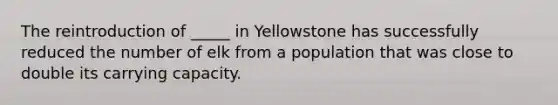 The reintroduction of _____ in Yellowstone has successfully reduced the number of elk from a population that was close to double its carrying capacity.