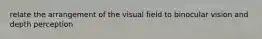 relate the arrangement of the visual field to binocular vision and depth perception