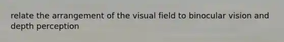 relate the arrangement of the visual field to binocular vision and depth perception