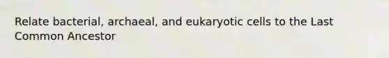 Relate bacterial, archaeal, and eukaryotic cells to the Last Common Ancestor