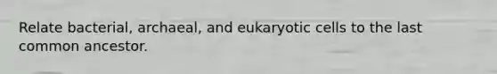 Relate bacterial, archaeal, and eukaryotic cells to the last common ancestor.