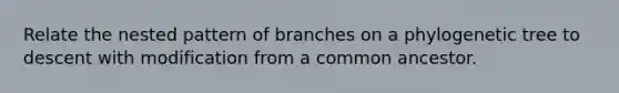 Relate the nested pattern of branches on a phylogenetic tree to descent with modification from a common ancestor.