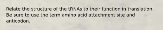 Relate the structure of the tRNAs to their function in translation. Be sure to use the term amino acid attachment site and anticodon.