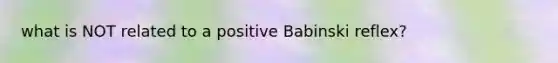 what is NOT related to a positive Babinski reflex?