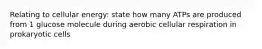 Relating to cellular energy: state how many ATPs are produced from 1 glucose molecule during aerobic cellular respiration in prokaryotic cells