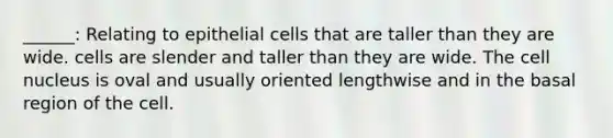 ______: Relating to epithelial cells that are taller than they are wide. cells are slender and taller than they are wide. The cell nucleus is oval and usually oriented lengthwise and in the basal region of the cell.