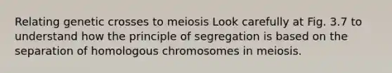 Relating genetic crosses to meiosis Look carefully at Fig. 3.7 to understand how the principle of segregation is based on the separation of homologous chromosomes in meiosis.