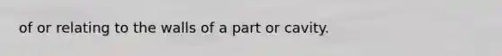 of or relating to the walls of a part or cavity.