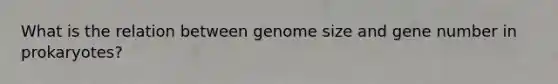 What is the relation between genome size and gene number in prokaryotes?