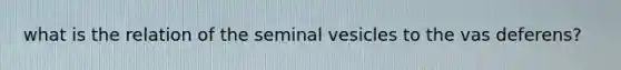 what is the relation of the seminal vesicles to the vas deferens?