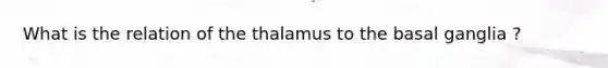 What is the relation of the thalamus to the basal ganglia ?