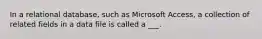 In a relational database, such as Microsoft Access, a collection of related fields in a data file is called a ___.