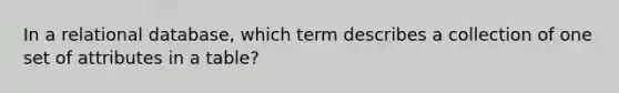 In a relational database, which term describes a collection of one set of attributes in a table?