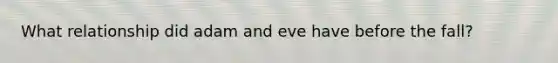 What relationship did adam and eve have before the fall?