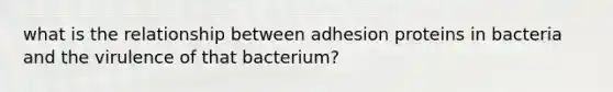 what is the relationship between adhesion proteins in bacteria and the virulence of that bacterium?