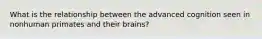 What is the relationship between the advanced cognition seen in nonhuman primates and their brains?