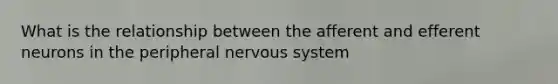 What is the relationship between the afferent and efferent neurons in the peripheral nervous system