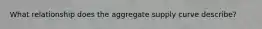 What relationship does the aggregate supply curve describe?