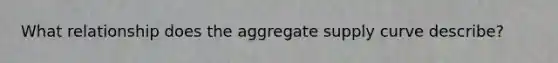 What relationship does the aggregate supply curve describe?