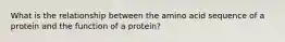 What is the relationship between the amino acid sequence of a protein and the function of a protein?