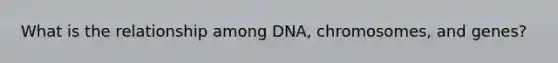 What is the relationship among DNA, chromosomes, and genes?