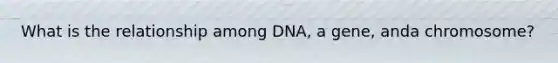 What is the relationship among DNA, a gene, anda chromosome?